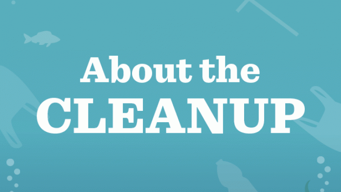 about the cleanup