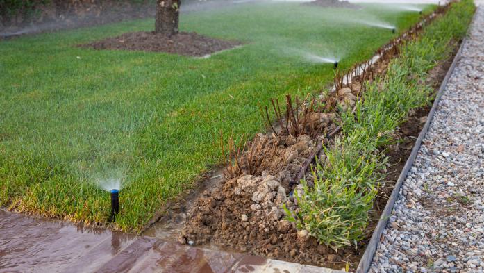 Sprinkler heads sprinkle water on the grass and trees in a garden.